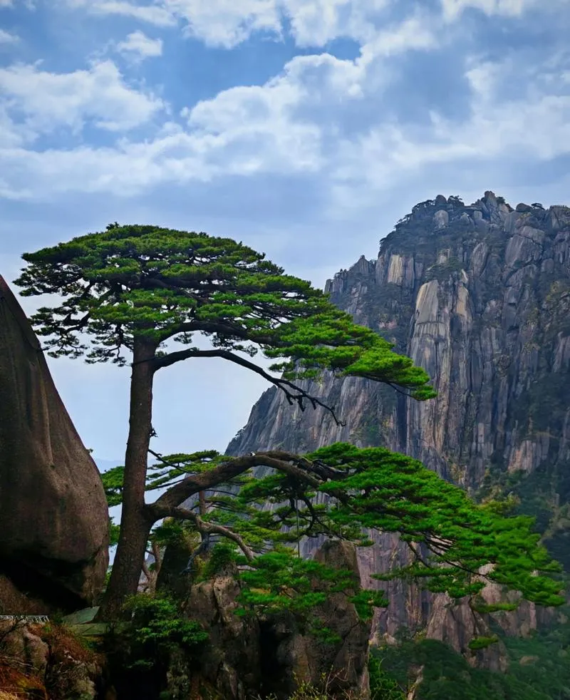 去前必看!超实用的黄山旅游攻略