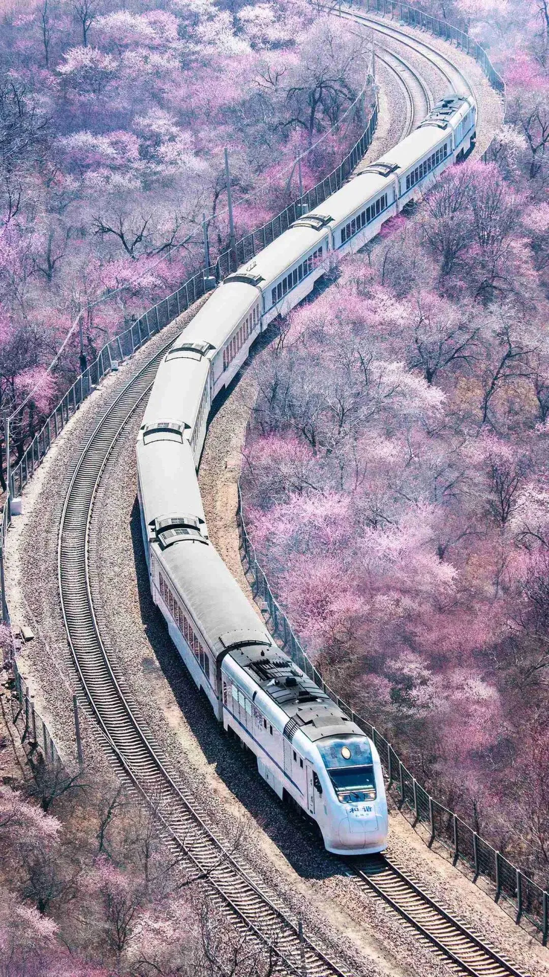 合理规划交通和行程是提升爬山质量的关键