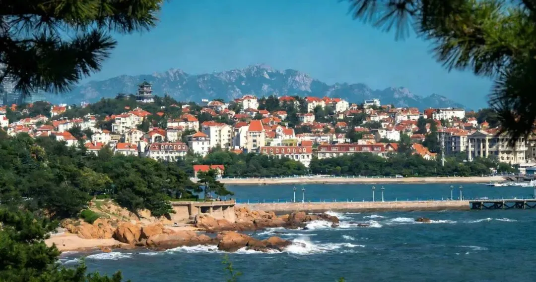 青岛旅游避坑指南!适合年轻人的靠谱旅行社+报名价格表