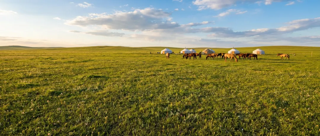 2026五一呼和浩特旅游攻略:3天到5天行程方案+避坑指南