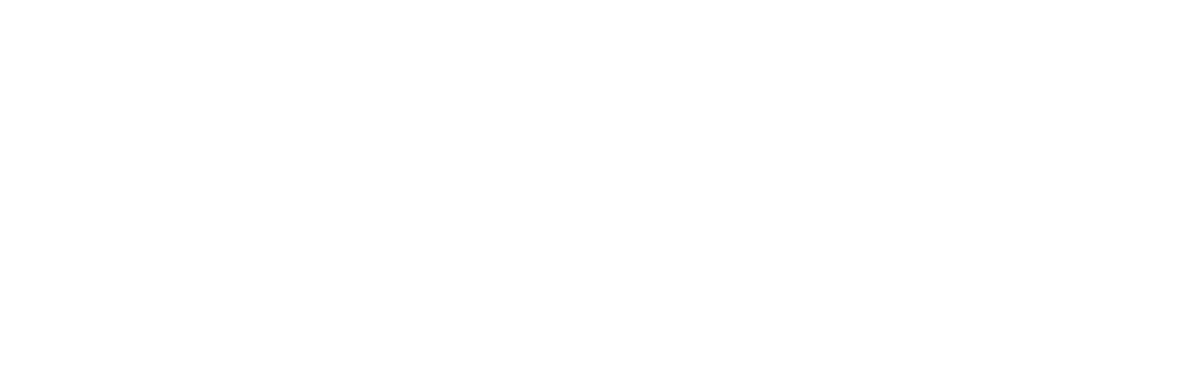 跟着赛事去旅游(二)|康平春日漫游指南:赴一场花海与湖光的约会,邂逅候鸟翩跹.