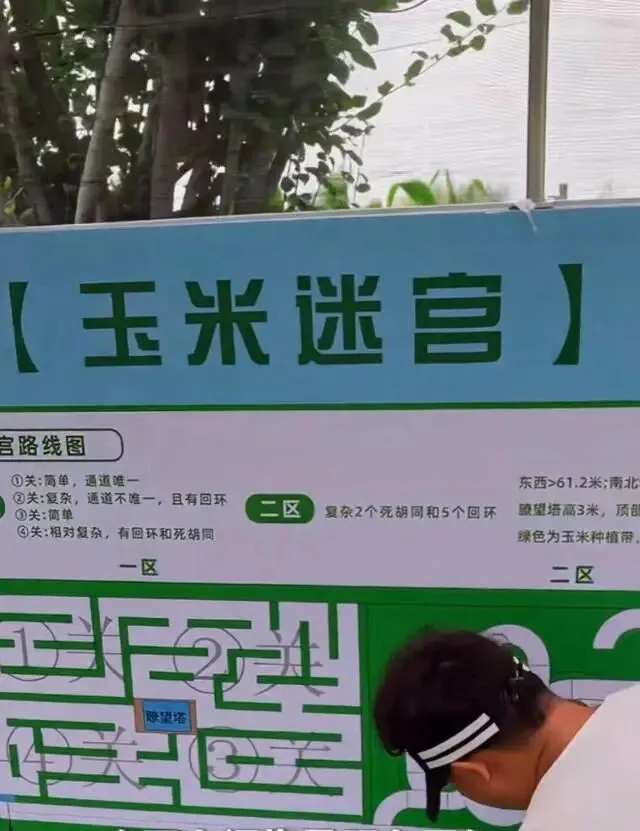 玉米迷宫文化旅游项目设计方案