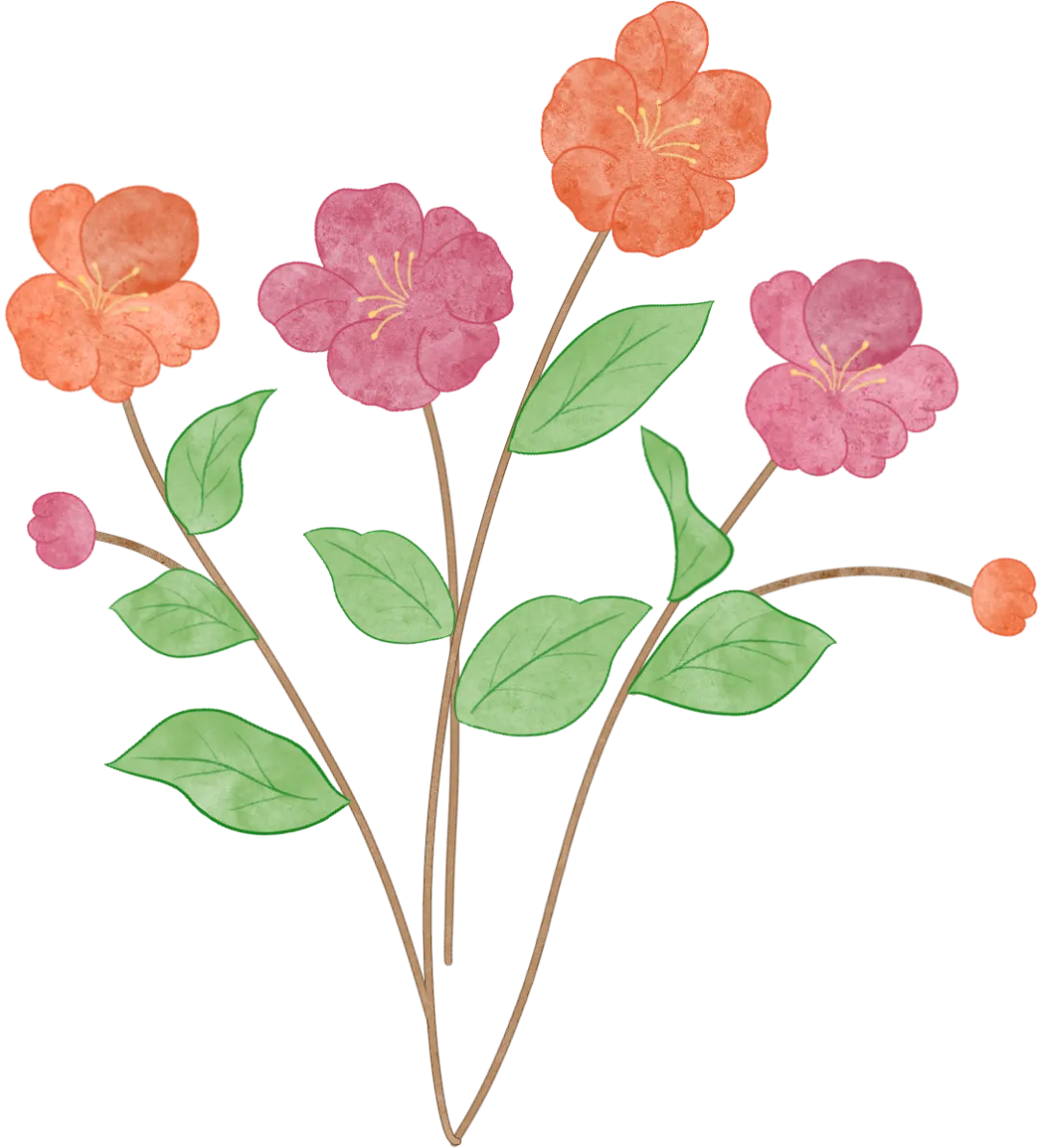 宽甸春季旅游全攻略|桃花、边境、满族风情一网打尽