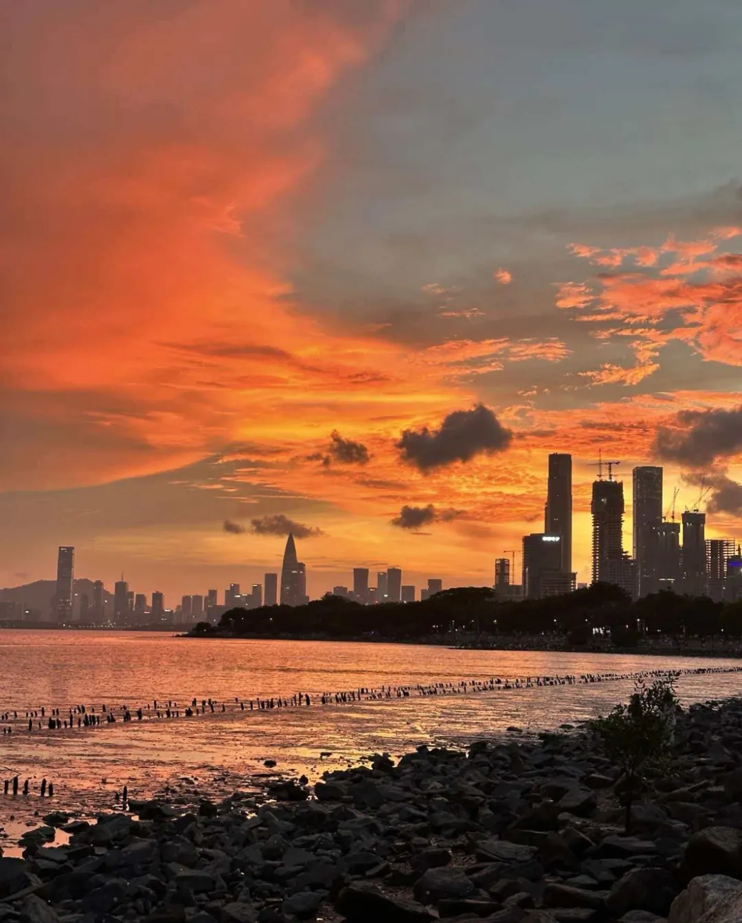 深圳游玩攻略:外地人来深圳怎么玩?