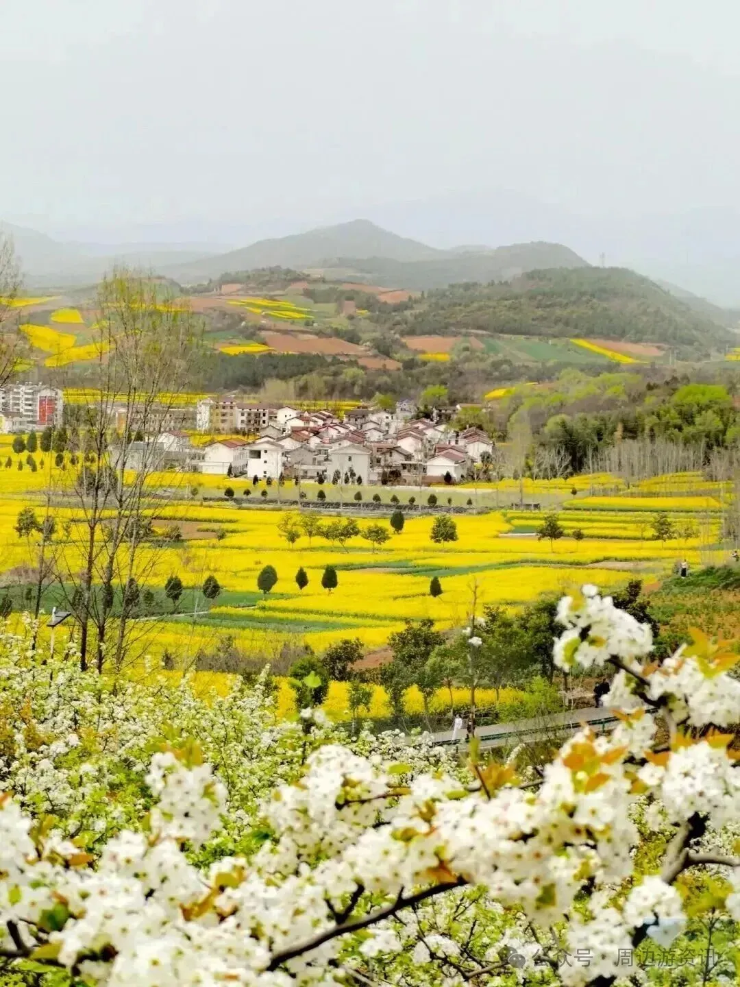 4月西安周边旅游指南:这8个宝藏目的地,承包你的春日浪漫!