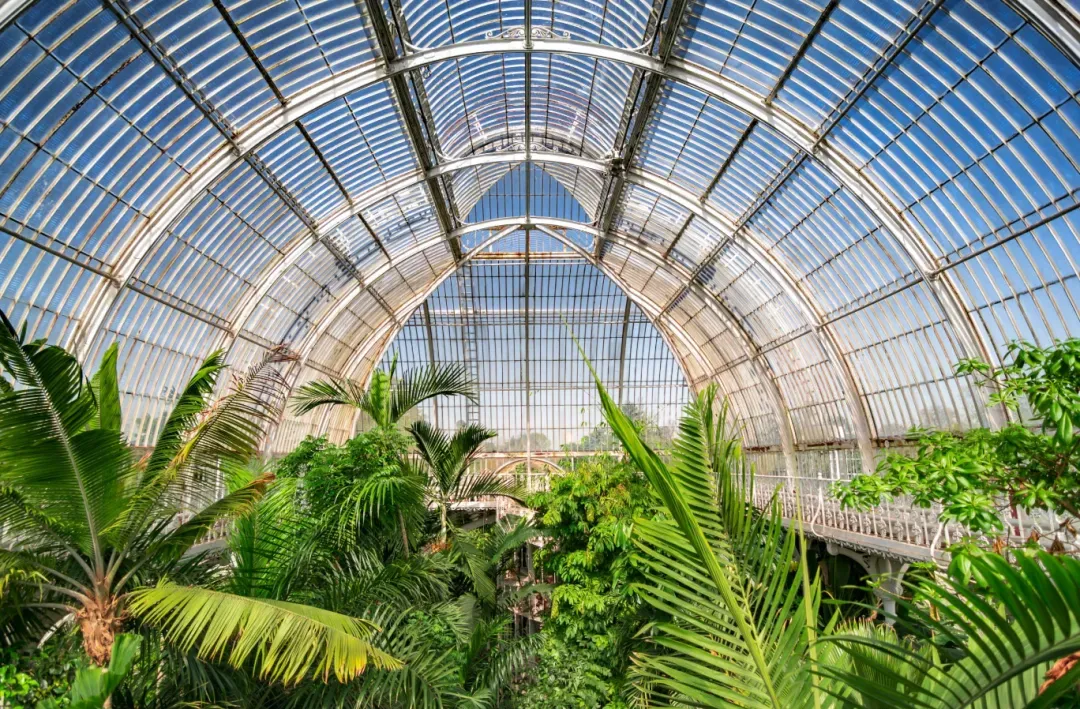 英国八大植物园景点攻略...打卡!