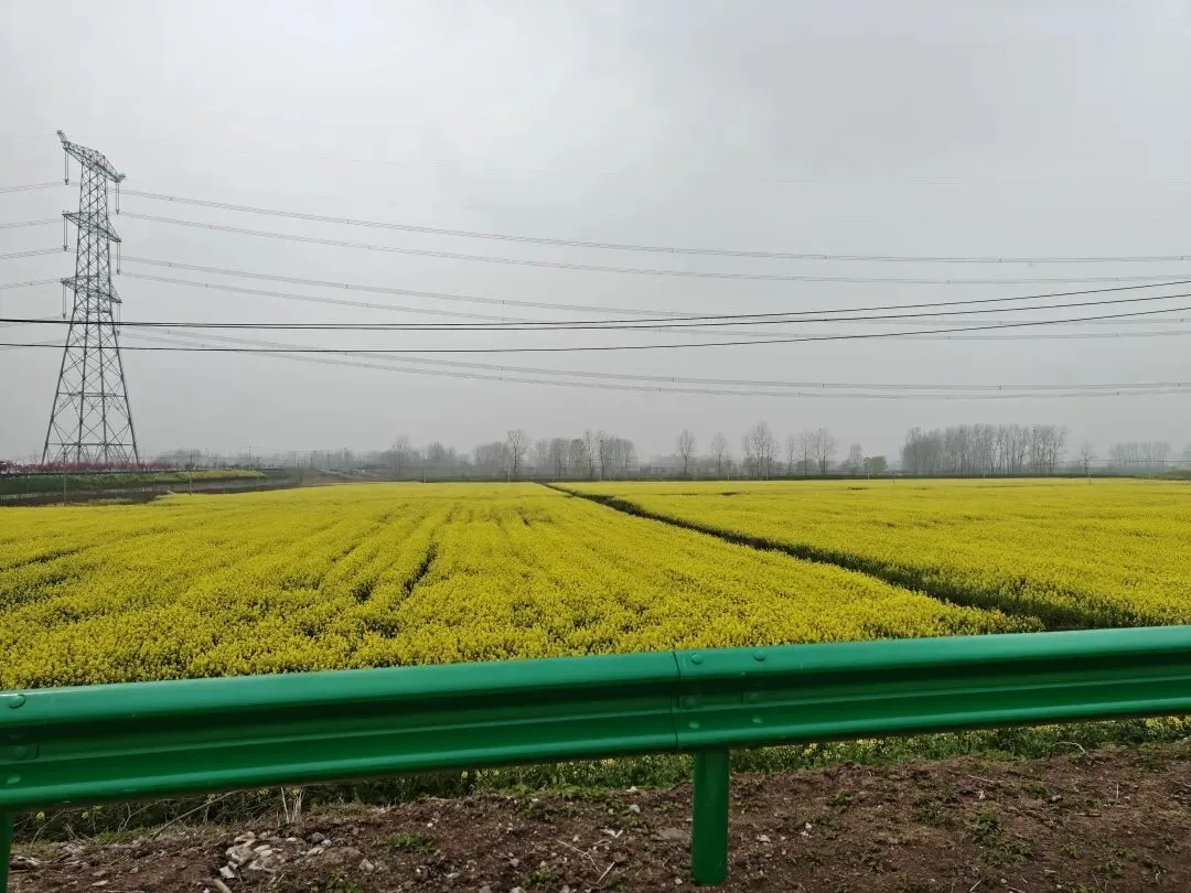 春假进行时!这份“不踩雷”旅行攻略,让你玩得尽兴又省钱