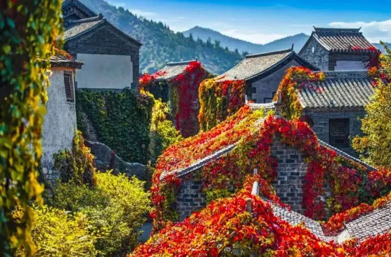 4月1日旅游新规落地:从＂规划图纸＂到＂体验实感＂的质变