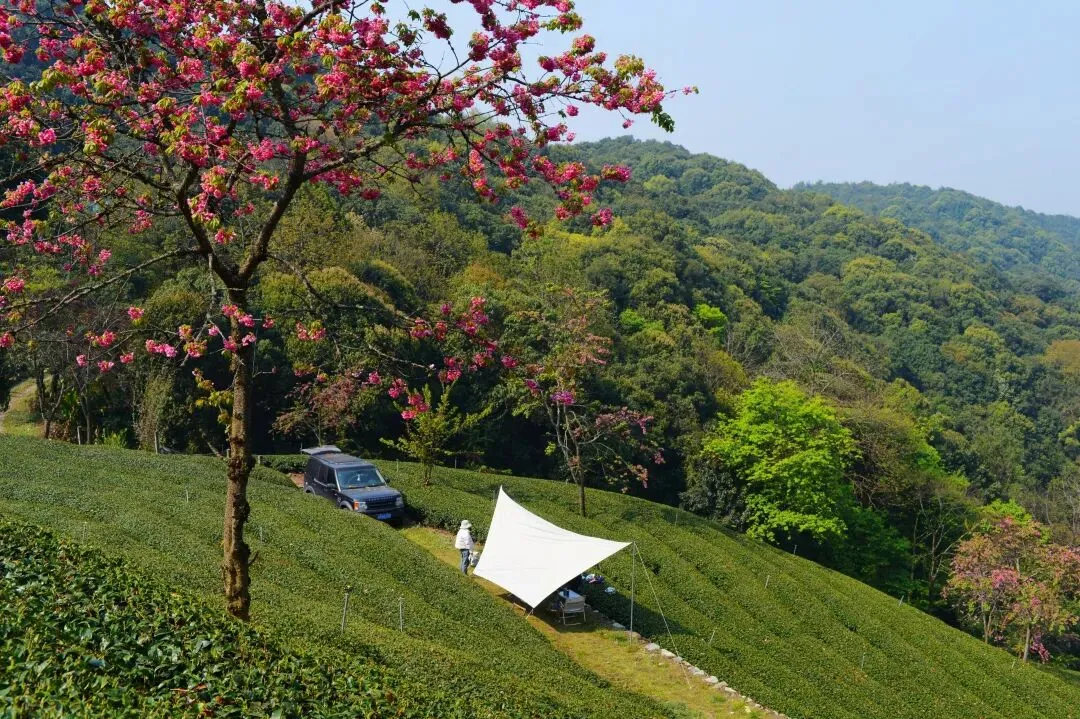 旅行丨过年的无量山休闲度假旅行指南!