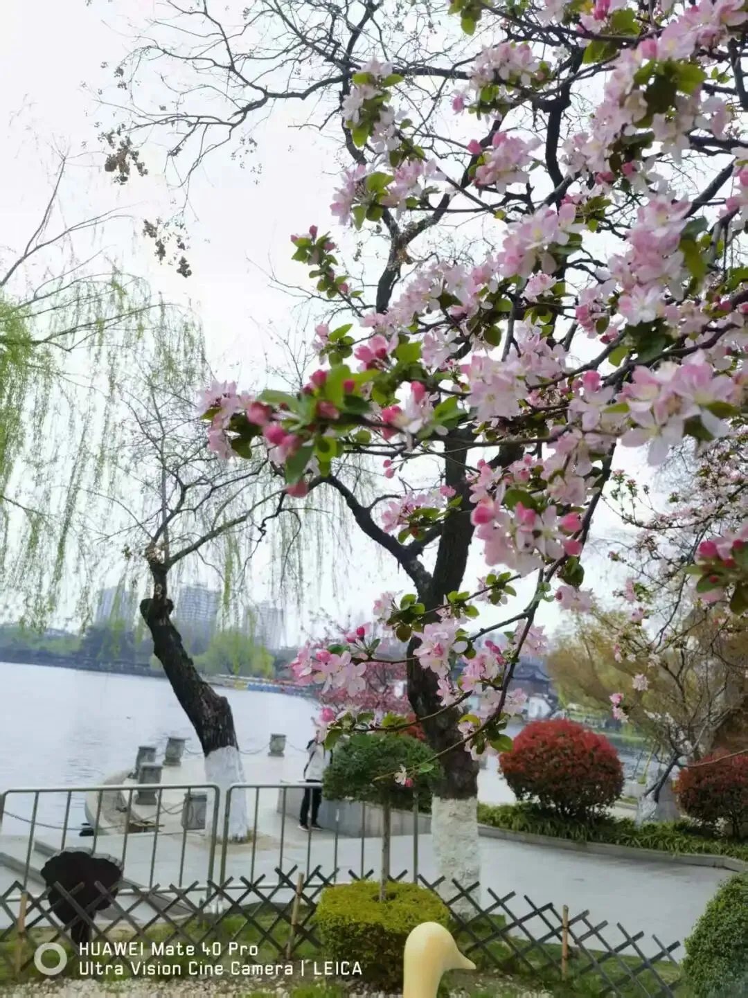 清明南京旅游攻略