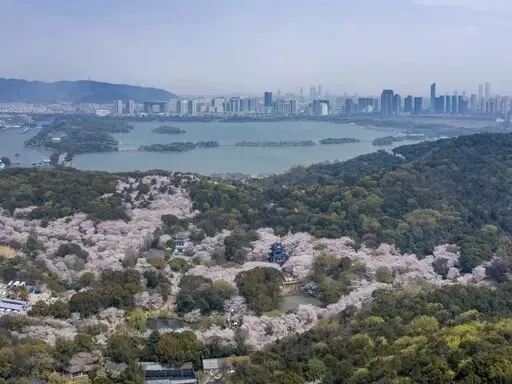 春假 + 清明|无锡必逛景点攻略,赴一场江南春日之约