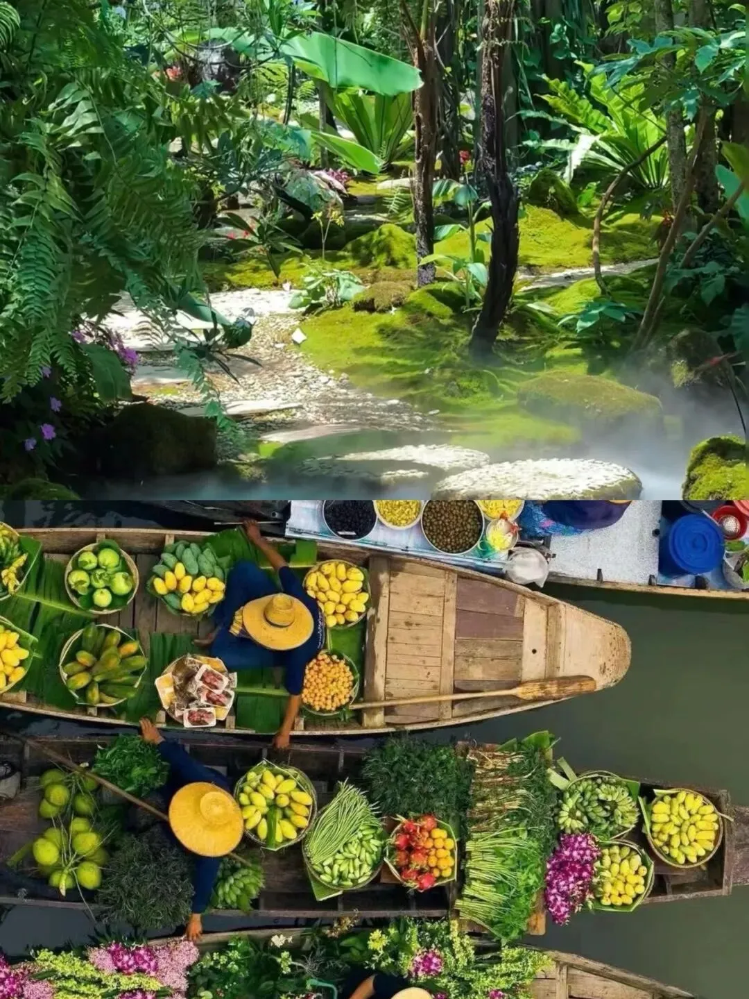 西双版纳旅游攻略,五天四晚详细行程路线规划,夏天一定要来一次西双版纳吧