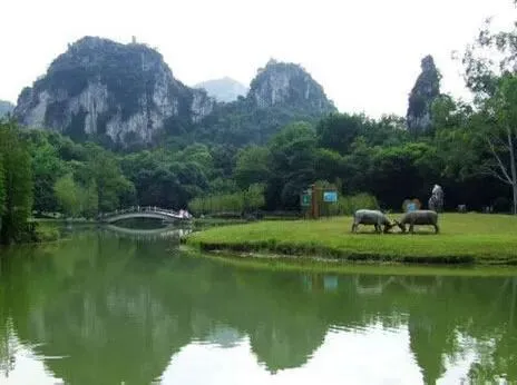柳州旅游攻略|嗦粉看山逛夜景,这一篇就够