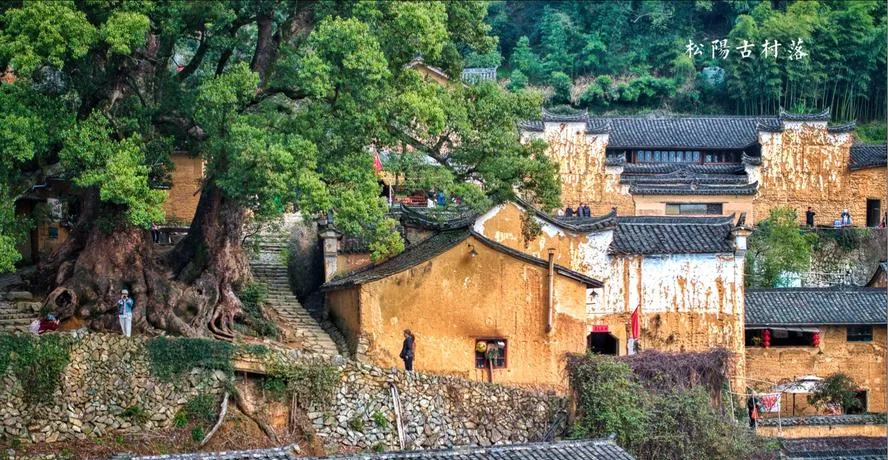攻略 国内小城,老外扎堆?松阳古村保姆级旅行指南,一文看懂景区玩法与行程规划