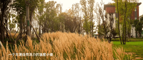 凤凰谷乐活小镇清明出游指南|赴一场春日之约,解锁假期 N 种快乐