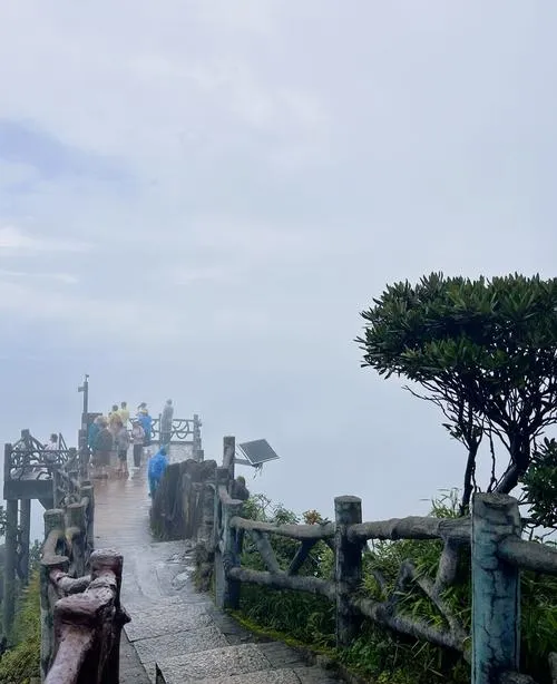 攻略 国内小城,老外扎堆?莽山保姆级旅行指南,一文看懂景区玩法与行程规划