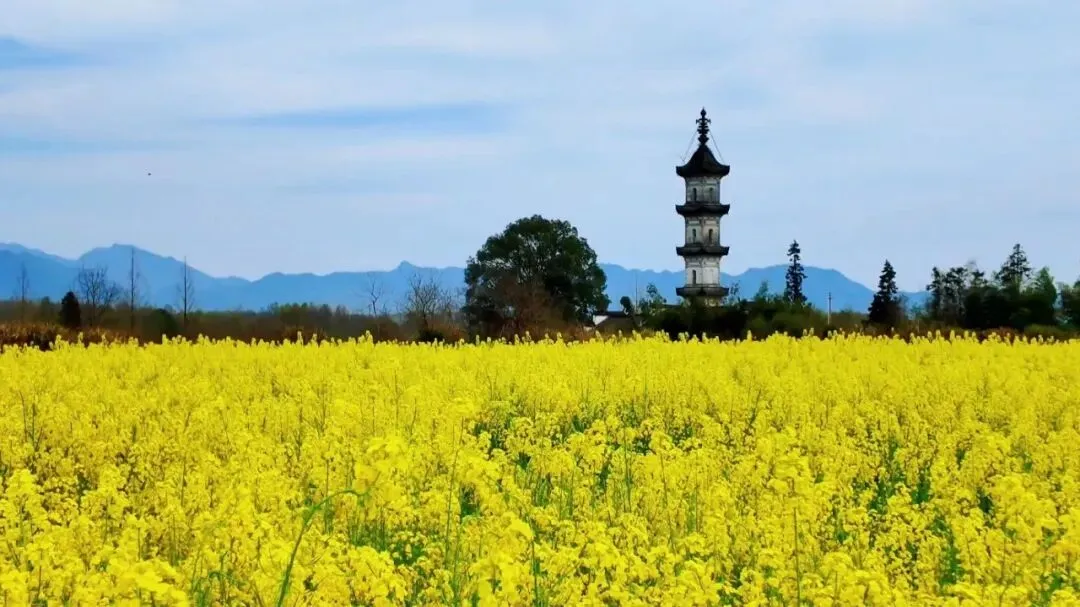 反向旅游·人少景美的皖南小村 | 碧山村游玩攻略(结尾有惊喜)