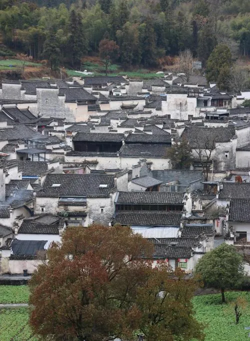 攻略 国内小城,老外扎堆?西递保姆级旅行指南,一文看懂景区玩法与行程规划