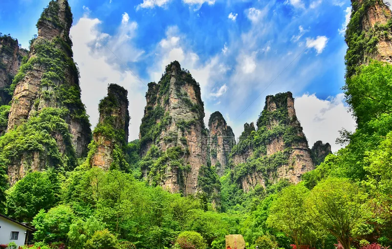 中国最受欢迎的十大森林旅游目的地,游玩指南!