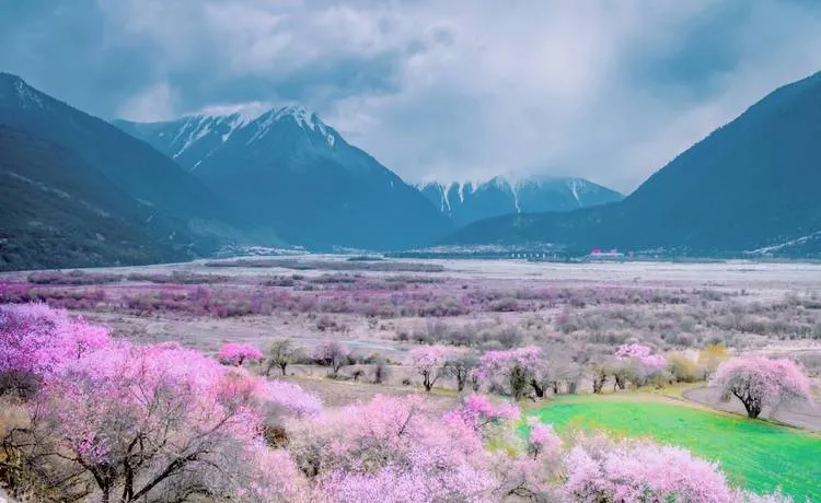 藏尽雪山与林海!林芝十大经典景点该如何规划行程?