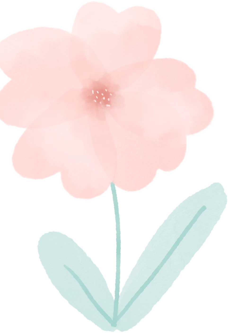 2026 洛阳赏花旅行攻略|牡丹花期全梳理 + 3 天路线,错过等一年