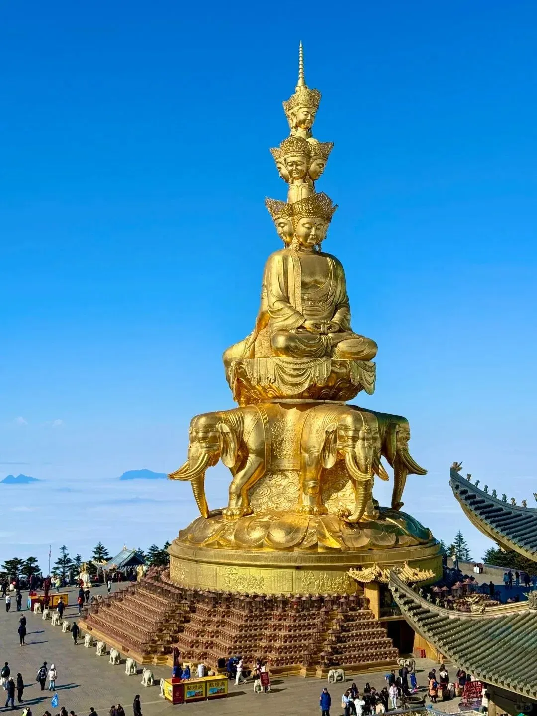 峨眉山超全旅游攻略|4-6月杜鹃花海+云海佛光,门票交通住宿一篇讲透,收藏转发不迷路!