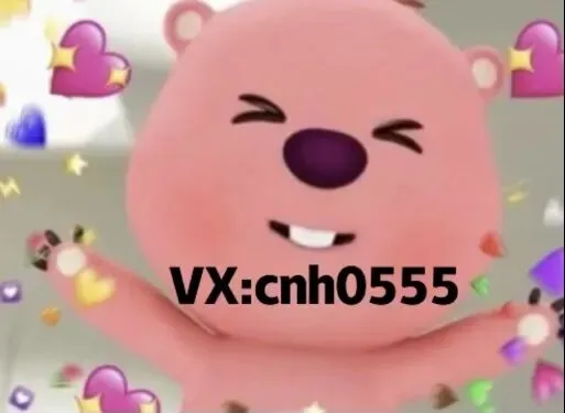 来西雅图必看|包车/接送/行程安排全指南