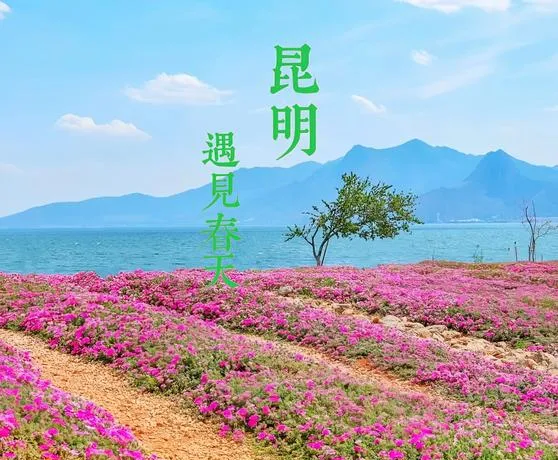 2026年云南春季旅游指南