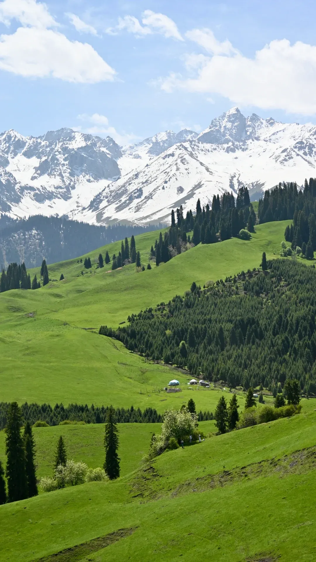 上周帮一个家庭规划了新疆行程,他们的坑你可能也会踩