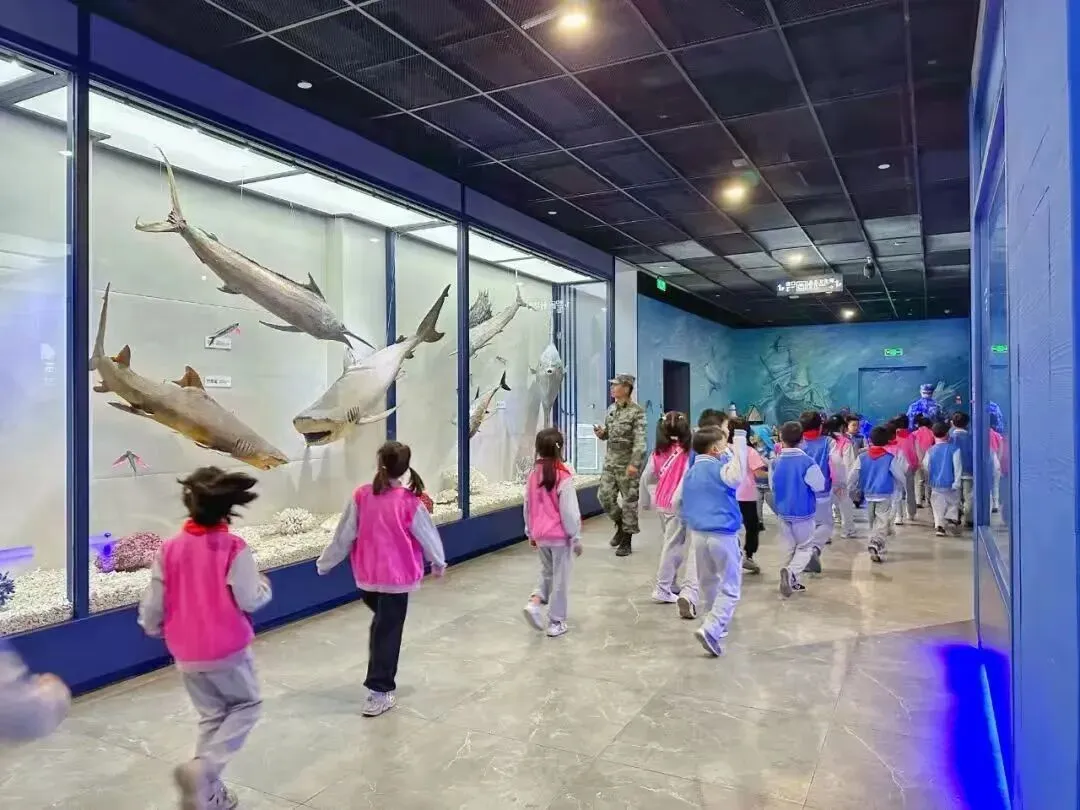 N30°度假海岸|象山渔文化研学旅游指南来了~