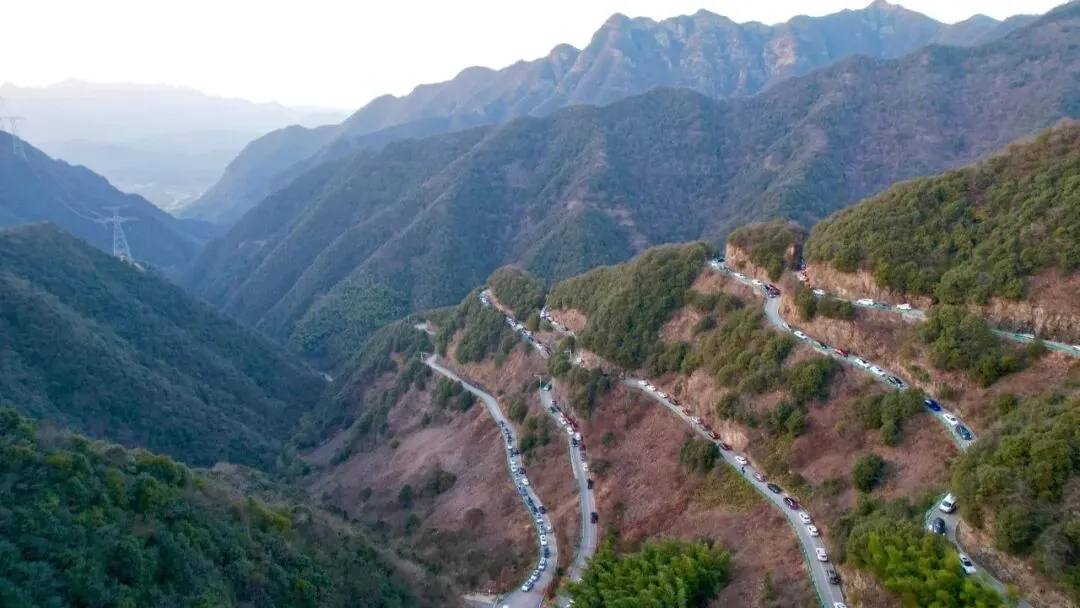 4条江浙沪皖周边绝美春日自驾路线,干货满满,赶紧收藏!2026年4月周末带上家人走起!