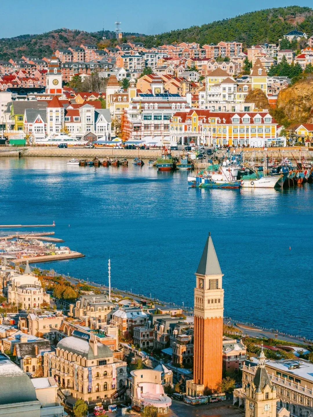 旅游攻略 | 大连春日限定:樱花海的浪漫与山海间的烟火气