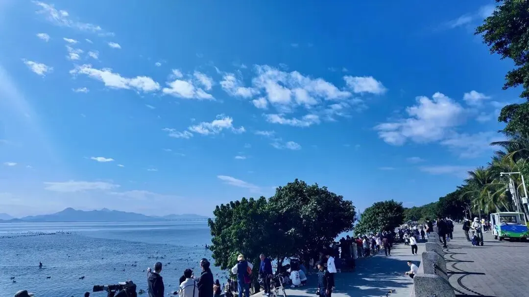 深圳免费景点全攻略!不花一分钱玩遍山海城,收藏这篇就够了