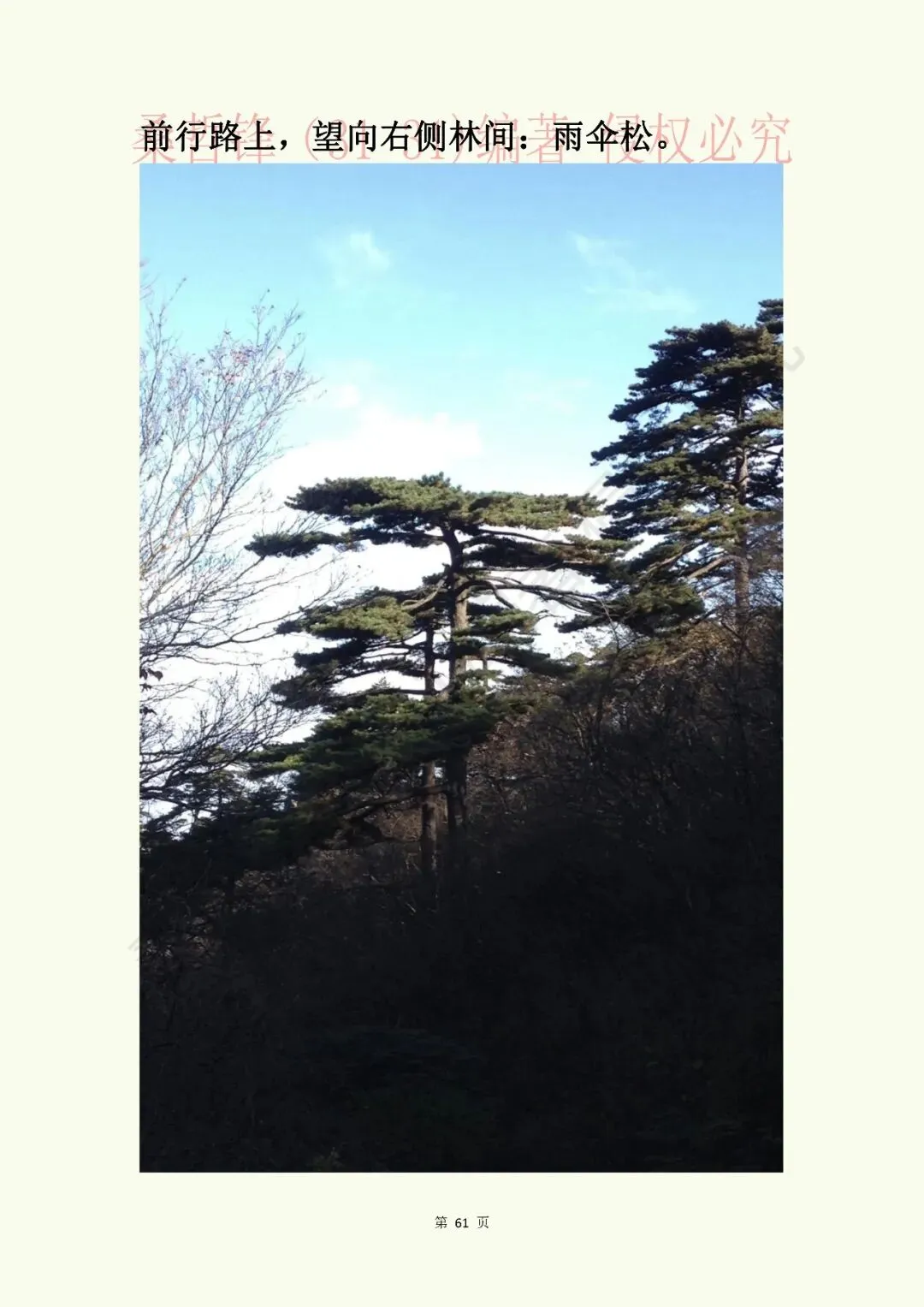 《黄山景点指南》原“黄山旅游插图本”新修版连载之八