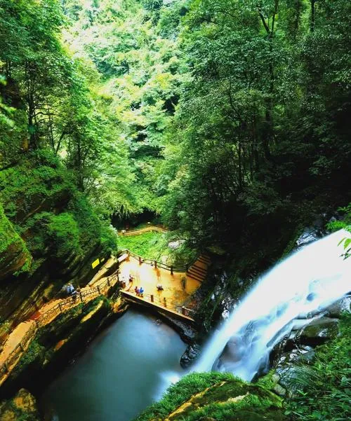 攻略 国内小城,老外扎堆?碧峰峡保姆级旅行指南,一文看懂景区玩法与行程规划