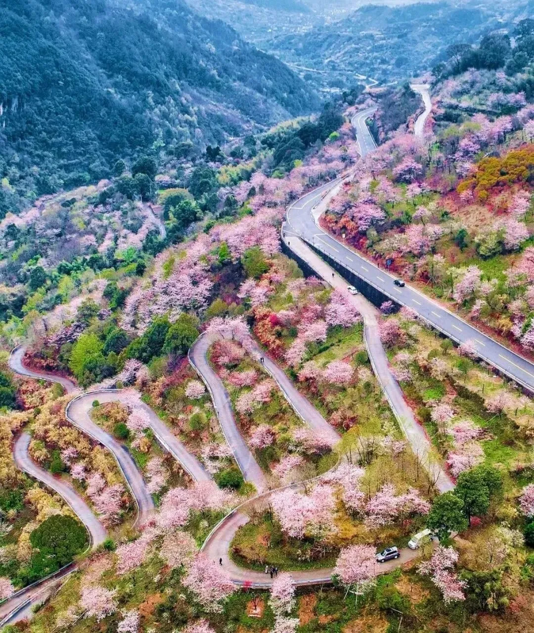 10条江浙沪周边绝美自驾路线,太有用了,赶紧收藏!4月安排走起!