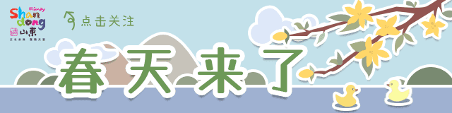 一卡畅游齐鲁!山东各地旅游卡攻略来了~