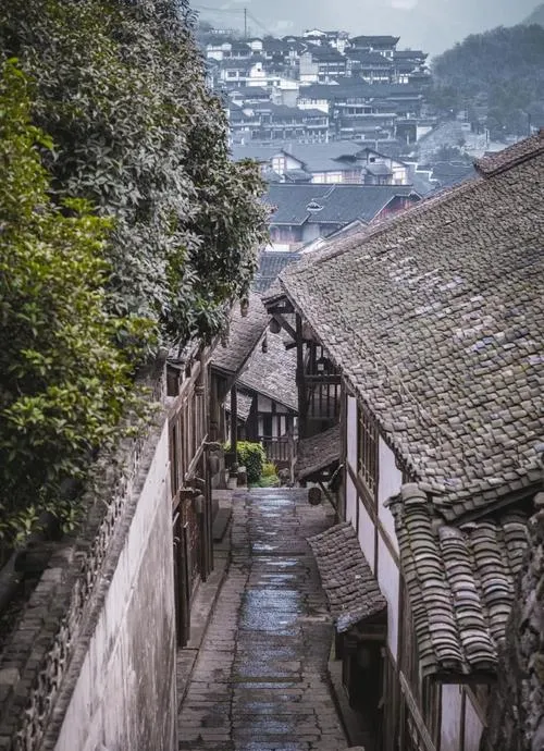 遵义市旅行新攻略!小众场馆与特色美食,惊艳所有游客