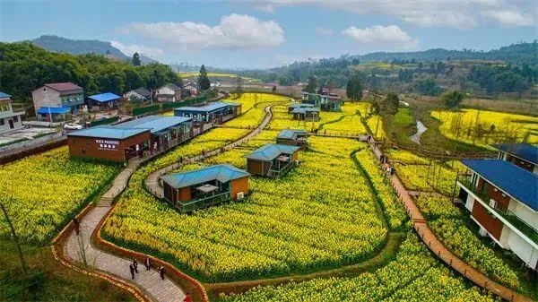 2025乡村旅游报告:机遇、痛点与破局之道