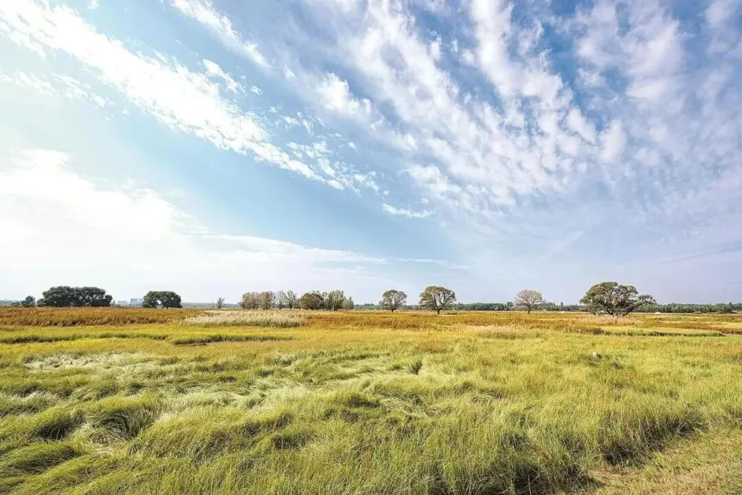 听音频逛包头|塞上鹿城旅游全攻略