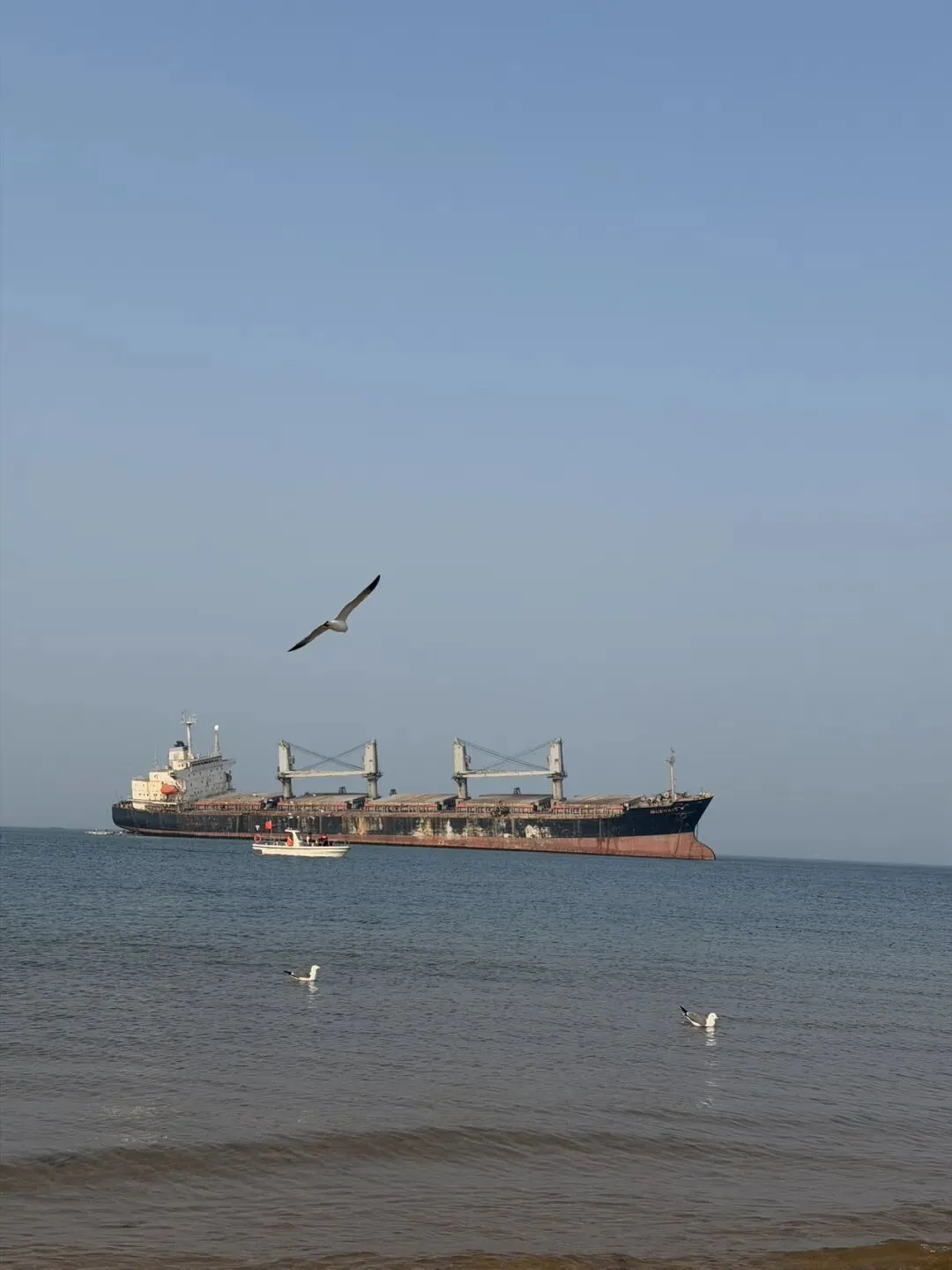 这么好的威海旅游攻略,还不收藏起来!