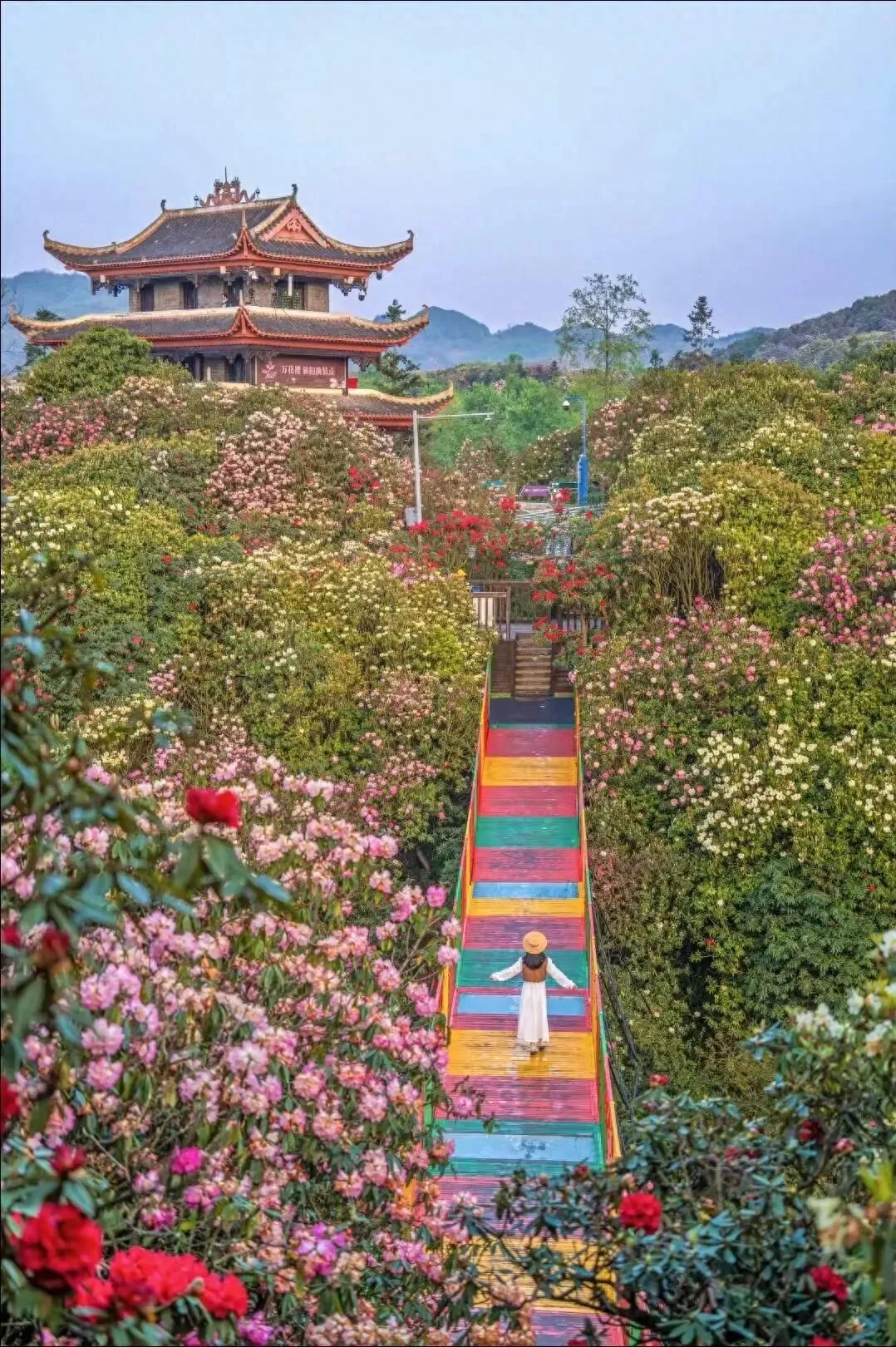 三四月周末出游指南:解锁国内小众秘境,承包你的春日浪漫!