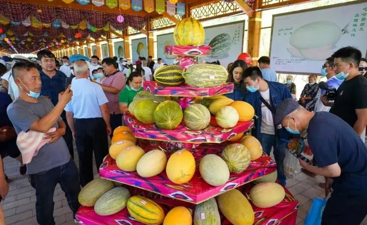 旅游攻略 2026 年蜜瓜节期间超详细哈密三日游攻略,请收好!