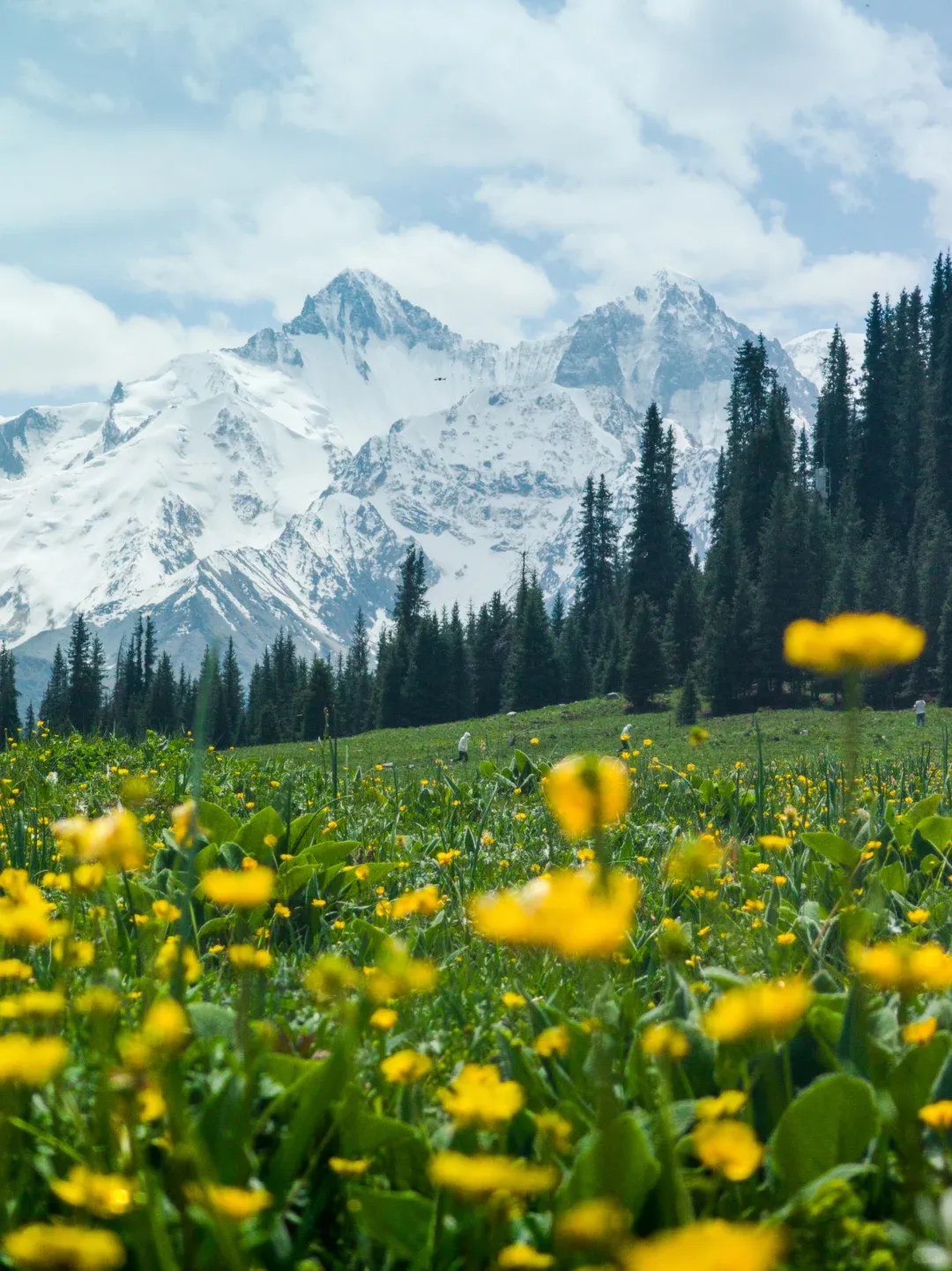 “五一”新疆超全攻略|8 大精华景点游玩攻略+避坑指南+行程路线 ,看这一篇就够!