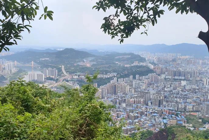 达州市旅行新攻略!小众场馆与特色美食,惊艳所有游客