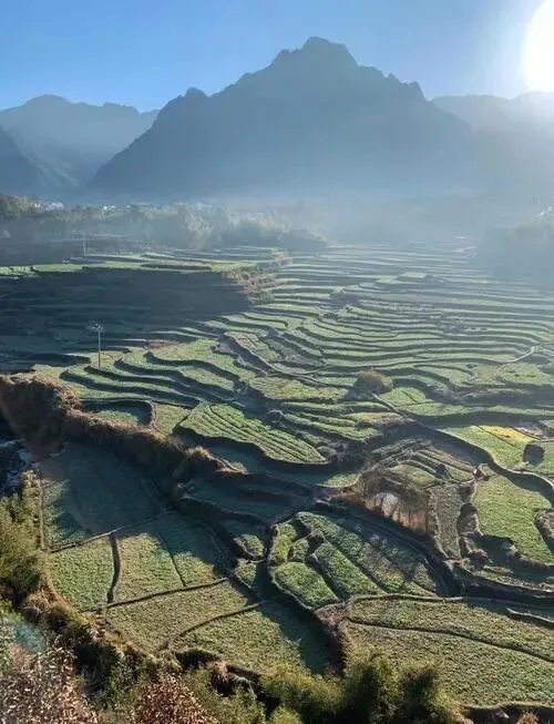 8条江浙沪皖周边绝美春日自驾路线,太有用了,赶紧收藏!2026年五一假期直接走起!