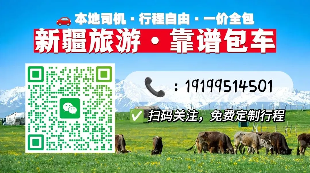 五月伊犁正当时!6天5晚自由行攻略,直接抄作业