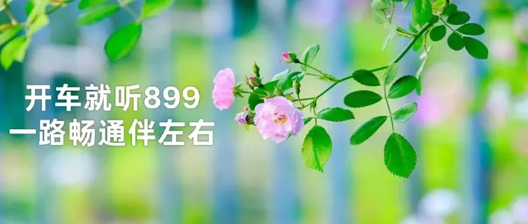 码住!桃花涧花朝季最全游玩攻略