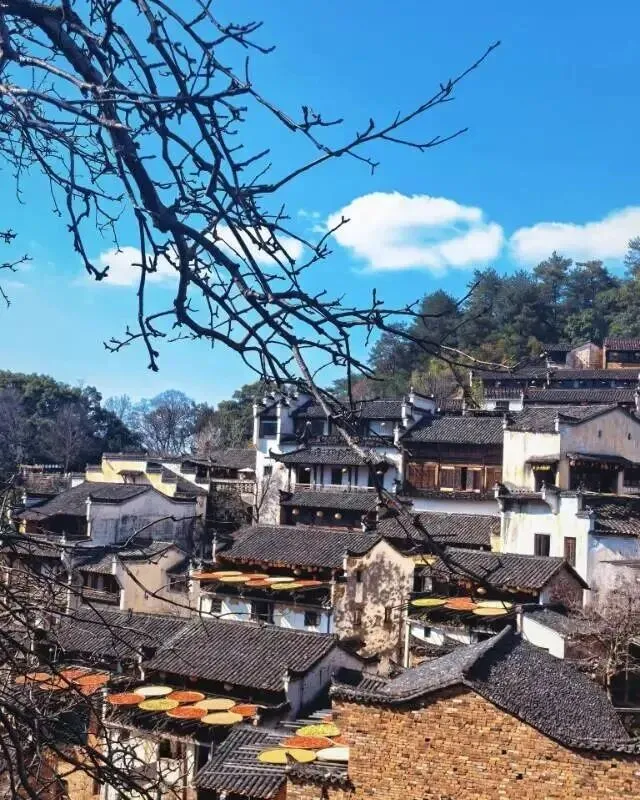篁岭·完美旅游攻略|藏在山崖上的徽州古村,晒秋与花海的浪漫交汇