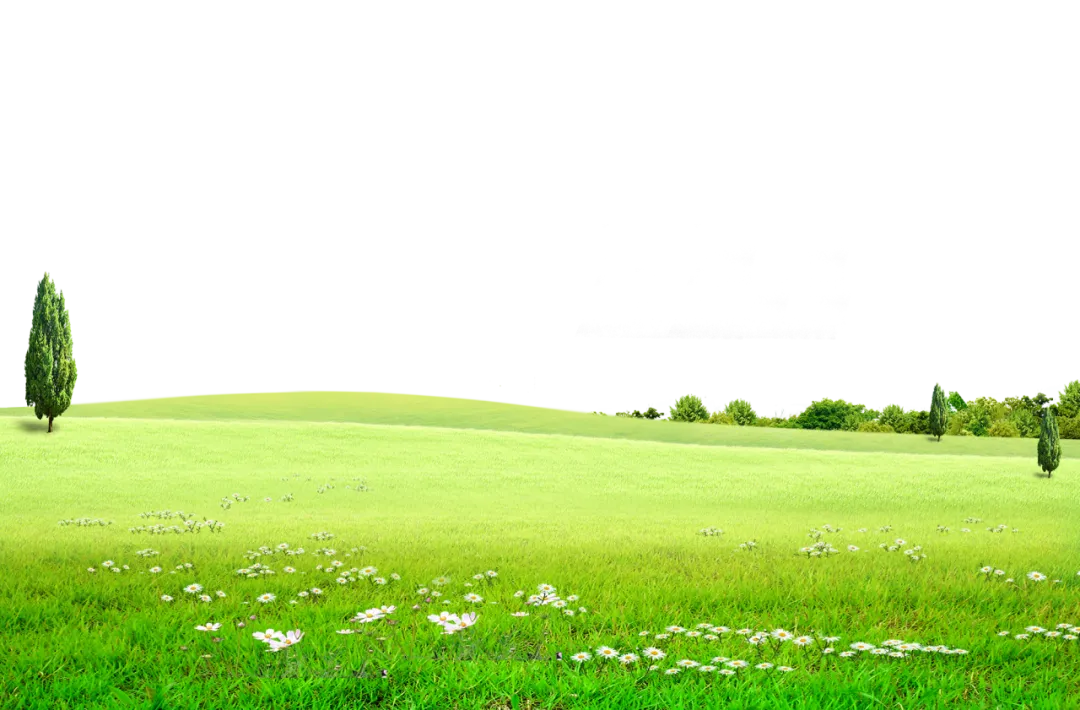 【统计科普】专属于记账户的“五一”旅行攻略~